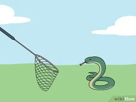 Image titled Catch a Snake Step 1