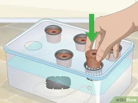 Image titled Start a Hydroponic Garden in Your Apartment Step 10