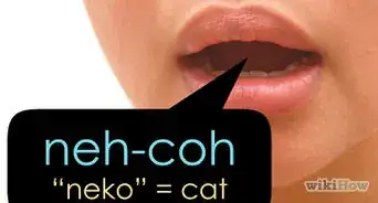 Say "Cat" in Japanese