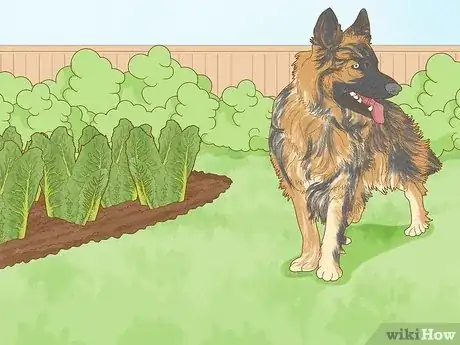 Image titled Protect Plants from Animals Step 8