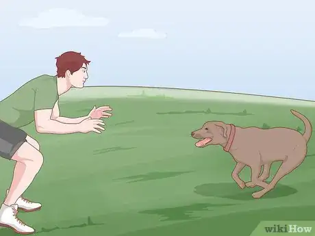 Image titled Safely Introduce Your Dog to Water Step 1