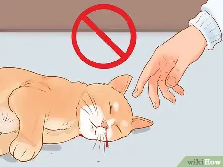 Image titled Get Help for a Cat Hit by a Car Step 2