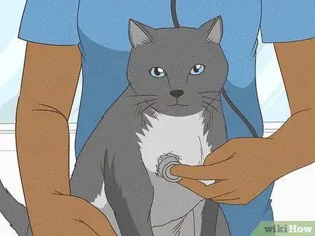 Image titled Treat a Cat With Asthma Step 9