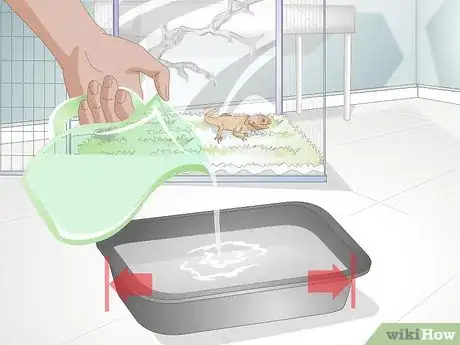 Image titled Teach a Bearded Dragon to Drink from a Water Bowl Step 9