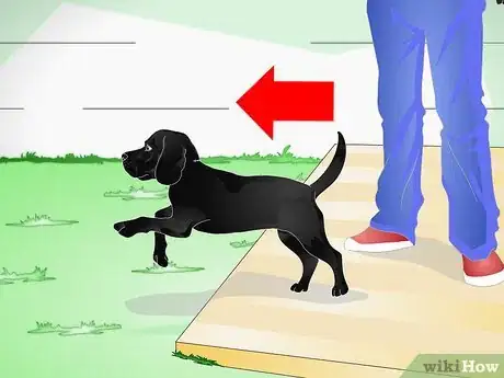 Image titled Raise a Dog Step 3