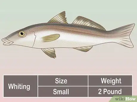 Image titled Create a Setup for Inshore Fishing Step 39