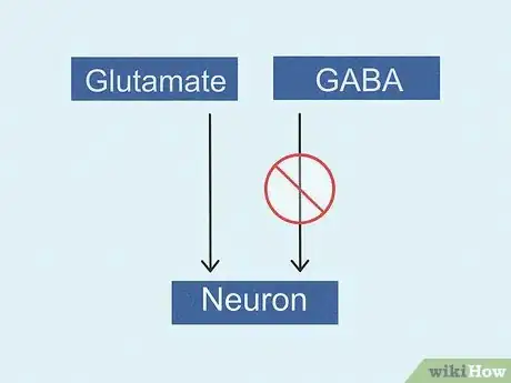 Image titled What Is Glutamate Step 10