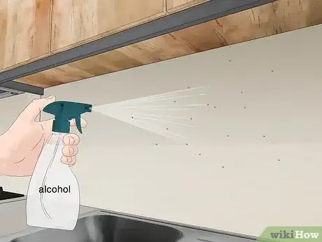 Image titled Get Rid of Fruit Flies Step 5