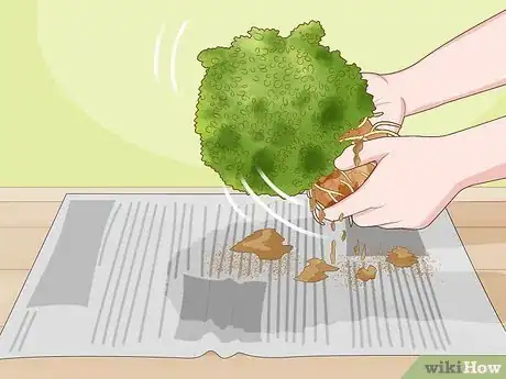 Image titled Send Plants Step 2