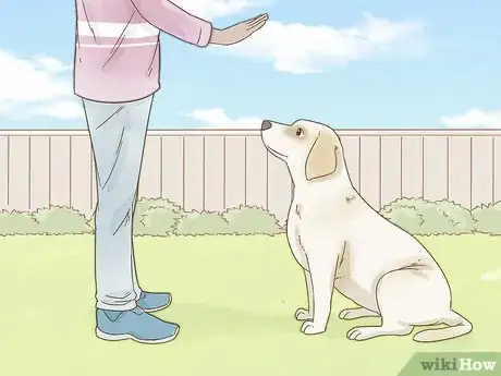 Image titled Reduce Anxiety in Dogs Step 3