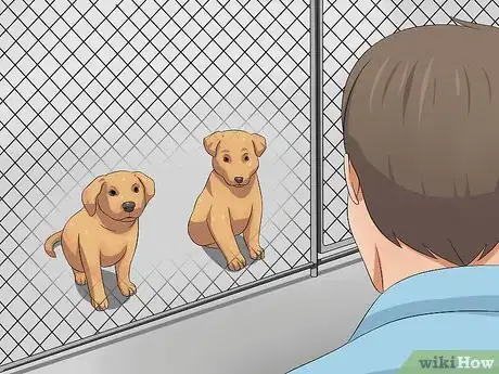 Image titled Give Away a Puppy Step 10