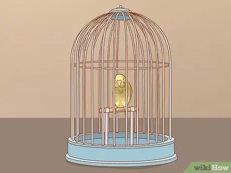 Image titled Keep Multiple Canaries Step 1