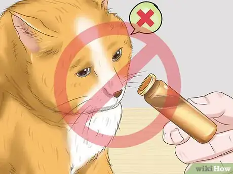 Image titled Calm Your Cat with Aromatherapy Step 10