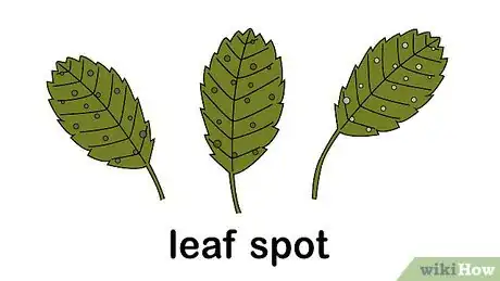 Image titled Identify and Treat Strawberry Diseases Step 3