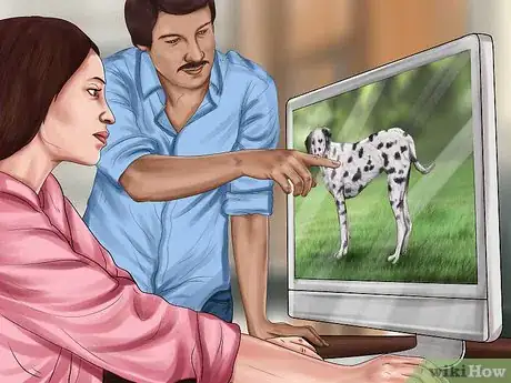 Image titled Identify a Dalmatian Step 10