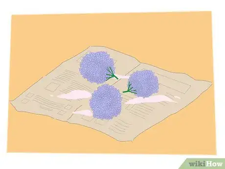 Image titled Dry Hydrangeas Step 7