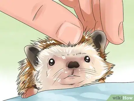 Image titled React when Your Hedgehog Bites You Step 13