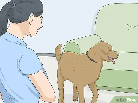 Image titled House Train Your Dog Step 5