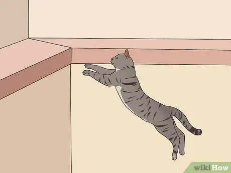 Image titled Identify an Egyptian Mau Step 7