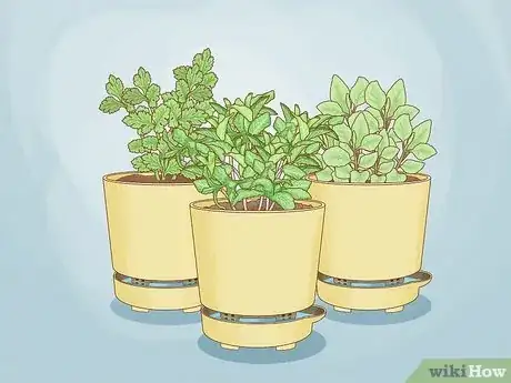 Image titled Use Self Watering Pots Step 11