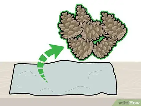 Image titled Bleach Pine Cones Step 11