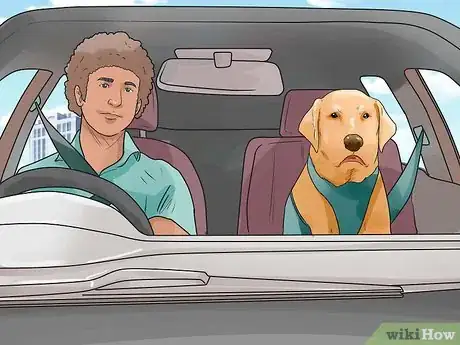 Image titled Deal With Your Dog's Fear of Vehicles Step 10