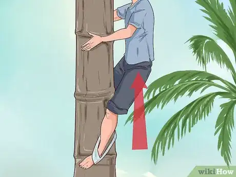 Image titled Climb a Coconut Tree Step 6