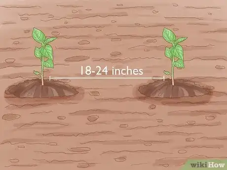 Image titled Grow Hot Peppers Step 12