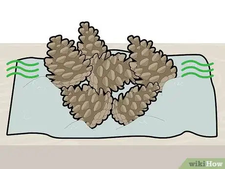 Image titled Bleach Pine Cones Step 10