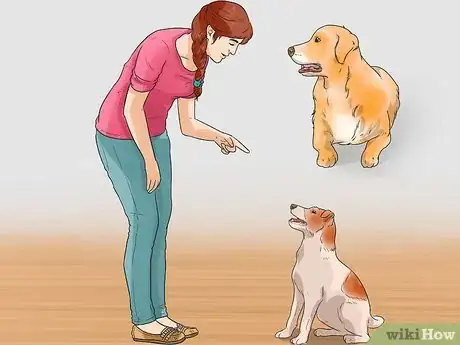 Image titled Make Your Dog Like Your Cat Step 7