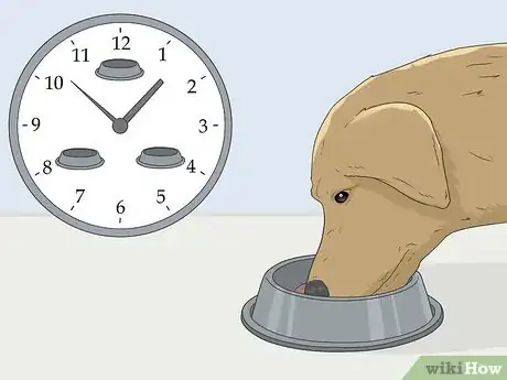 Image titled House Train Your Dog Step 2