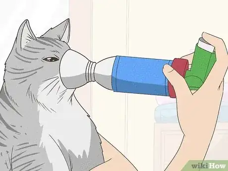 Image titled Treat a Cat With Asthma Step 4