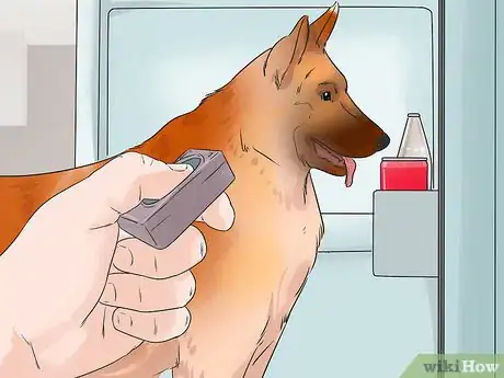 Image titled Train a Service Dog Step 10