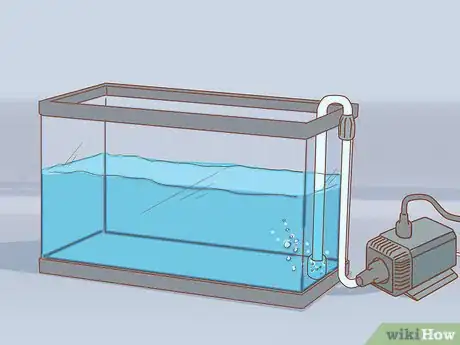 Image titled Add Fish to a New Tank Step 3