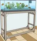 Lower Ammonia Levels in Your Fish Tank