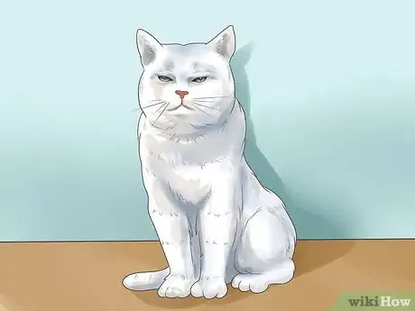 Image titled Tell if Your Cat Is Deaf Step 12