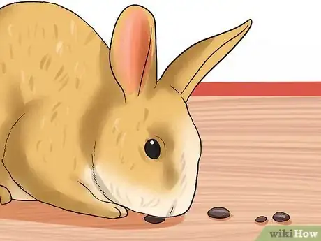 Image titled Prevent Gastrointestinal Stasis in Rabbits Step 13