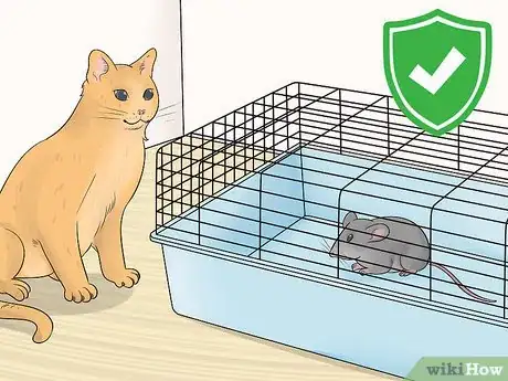 Image titled Care for an Injured Pet Mouse Step 11