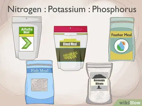 Image titled Prepare the Soil for Tomato Plants Step 7