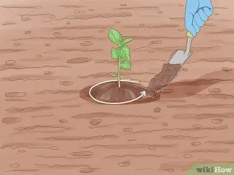 Image titled Grow Hot Peppers Step 11