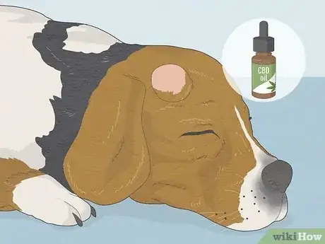 Image titled Best CBD Oil for Dogs Step 22