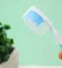 Sanitize a Toothbrush