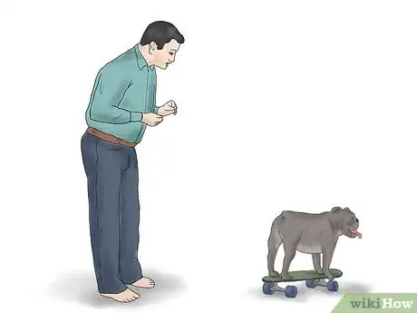 Image titled Teach a Bulldog to Skateboard Step 11