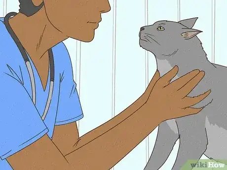 Image titled Tell if a Cat Has a Sore Throat Step 6