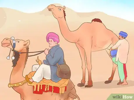 Image titled Buy a Camel Step 17