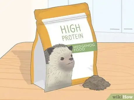 Image titled Take Care of a Hedgehog Step 1