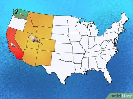 Image titled Identify a Mourning Dove Step 9