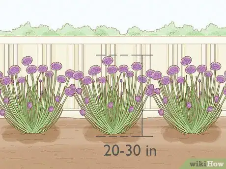 Image titled Grow Chives Step 3