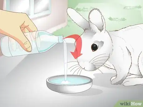 Image titled Care for a Rabbit with GI Stasis Step 13