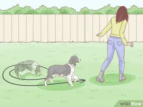 Image titled Get Your Dog to Lose 10 Pounds Step 13